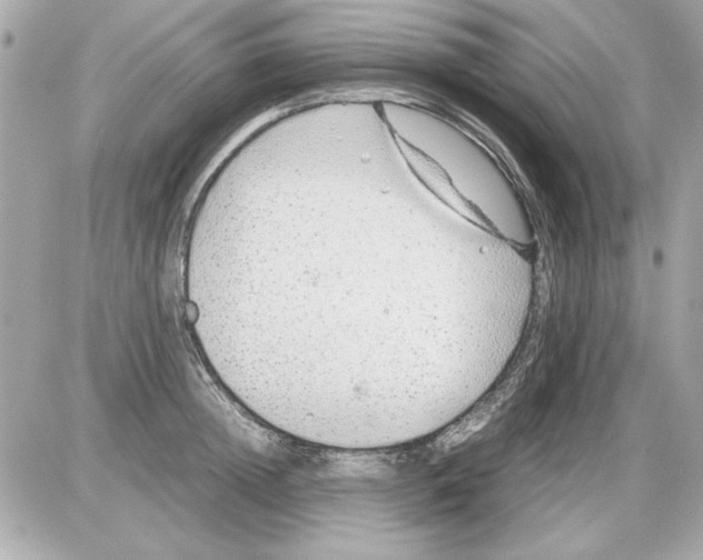 X0000085310852200704092321