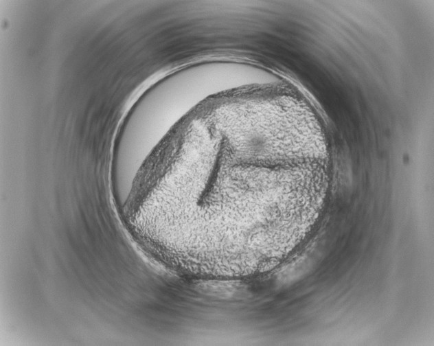 X0000085310853200704092321