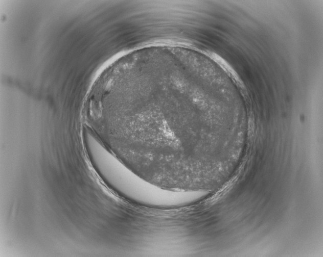 X0000085310854200704092321