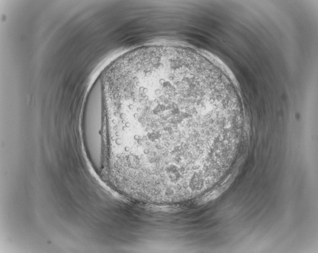 X0000085310855200704092321