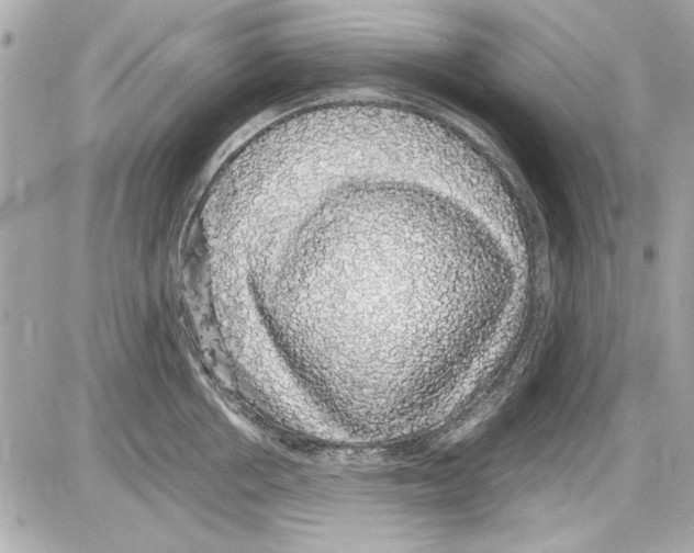 X0000085310858200704092321