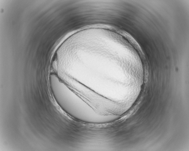 X0000085310860200704092321