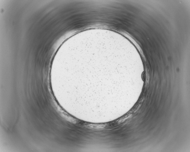 X0000085310861200704092321