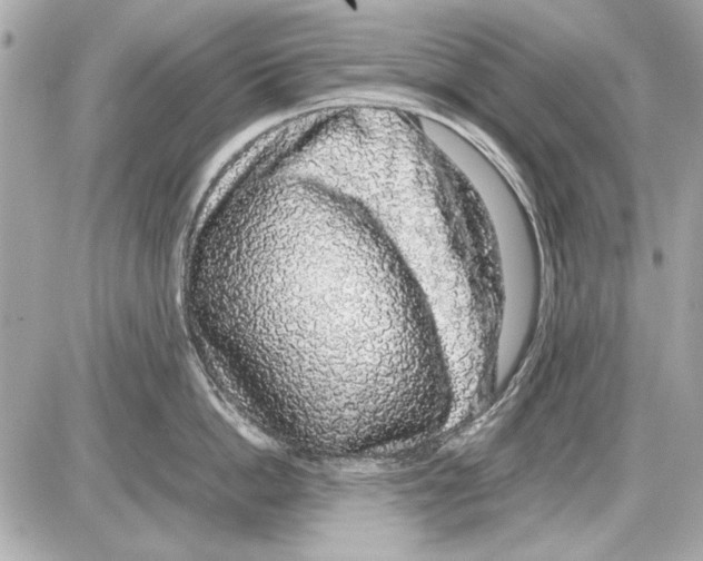 X0000085310862200704092321