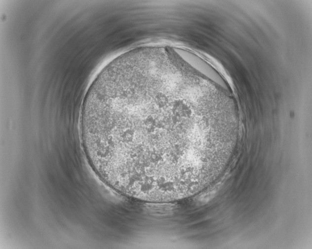 X0000085310863200704092321