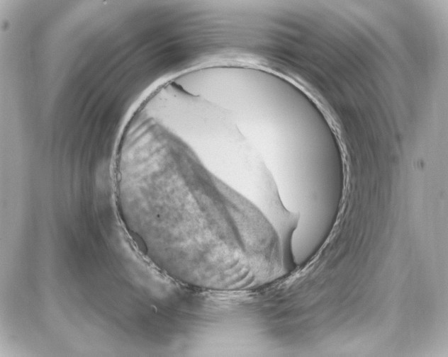 X0000085310864200704092321