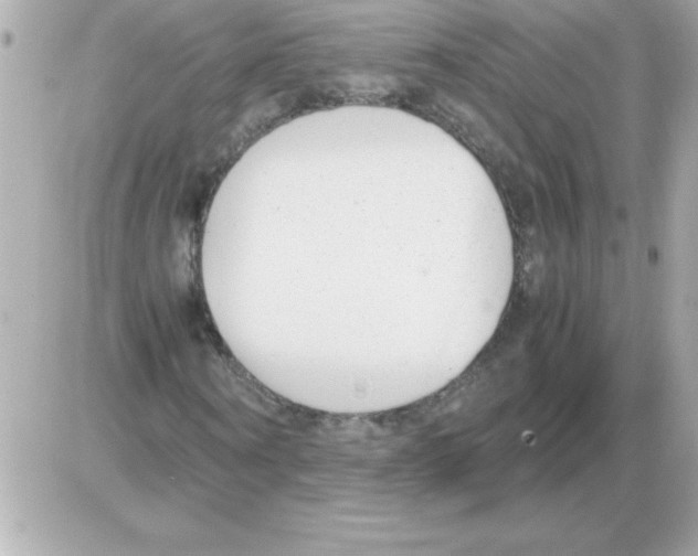 X0000085310866200704092321