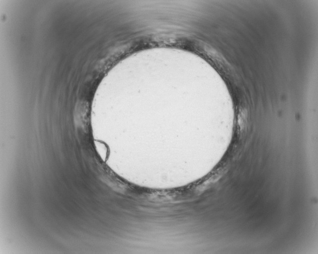 X0000085310867200704092321