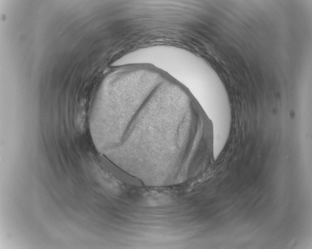 X0000085310868200704092321