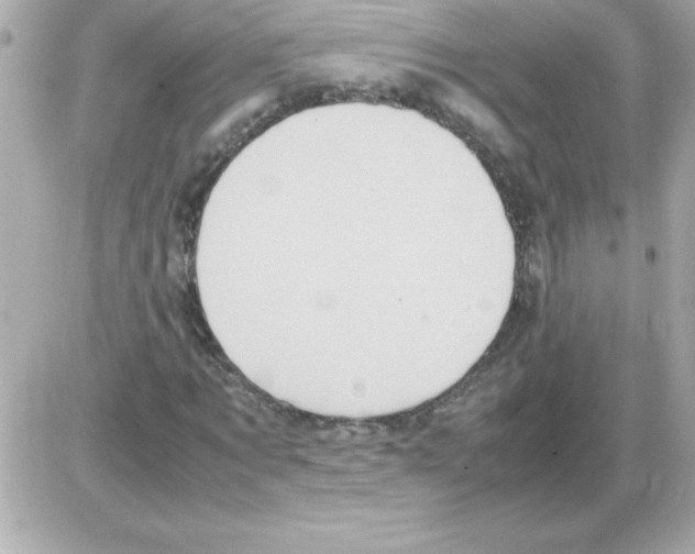 X0000085310869200704092320