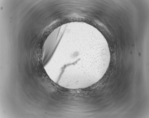 X0000085310870200704092320