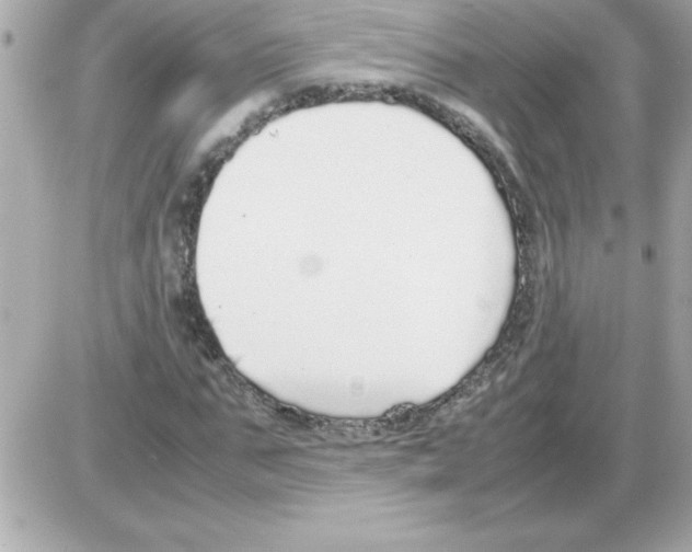 X0000085310871200704092320