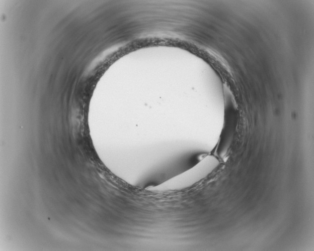 X0000085310872200704092320