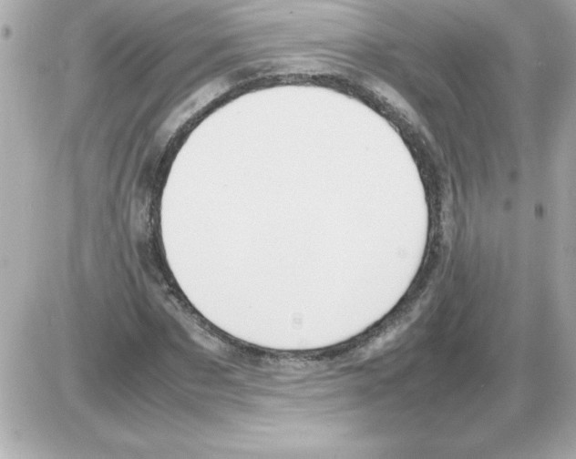 X0000085310873200704092320