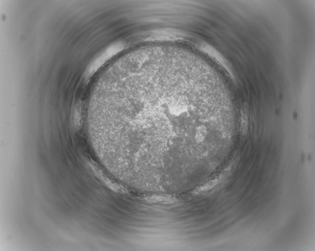 X0000085310874200704092320