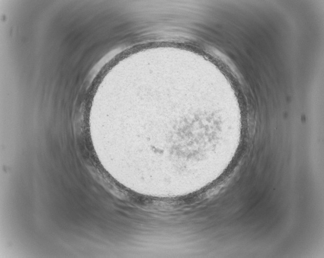 X0000085310875200704092320