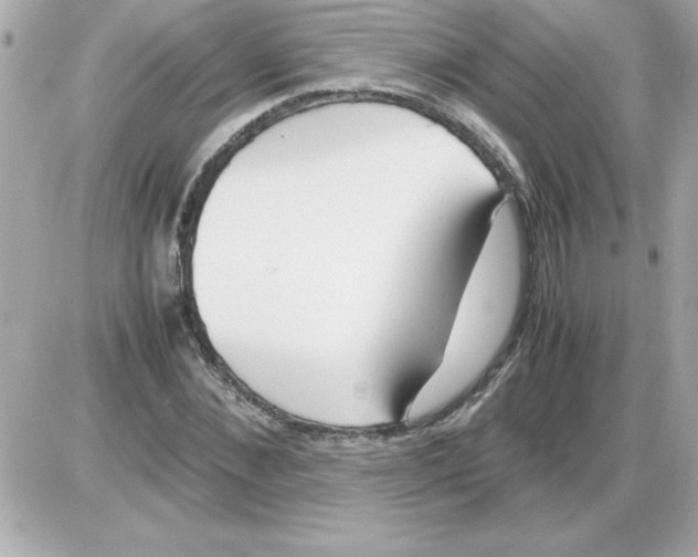 X0000085310876200704092320