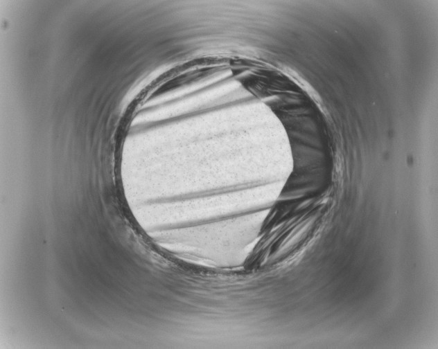 X0000085310877200704092320