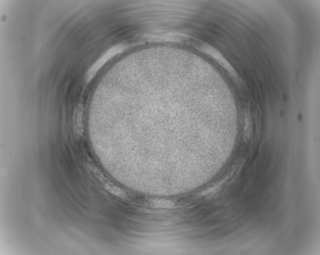 X0000085310878200704092320