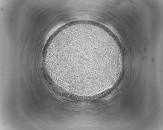 X0000085310879200704092320