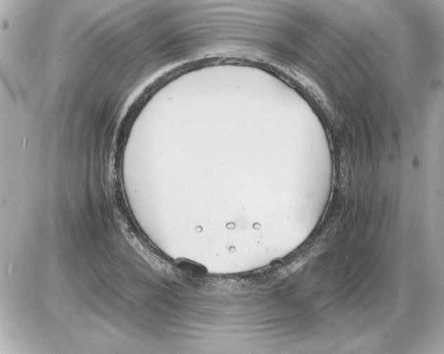 X0000085310880200704092320