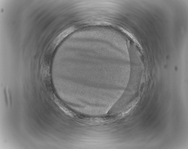 X0000085310881200704092320