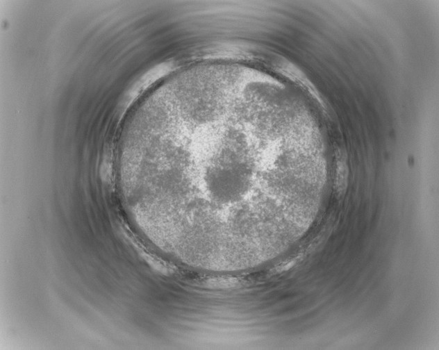 X0000085310882200704092320