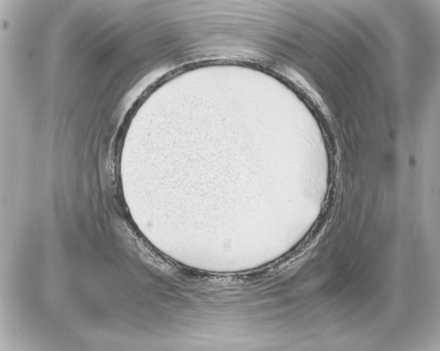 X0000085310883200704092320