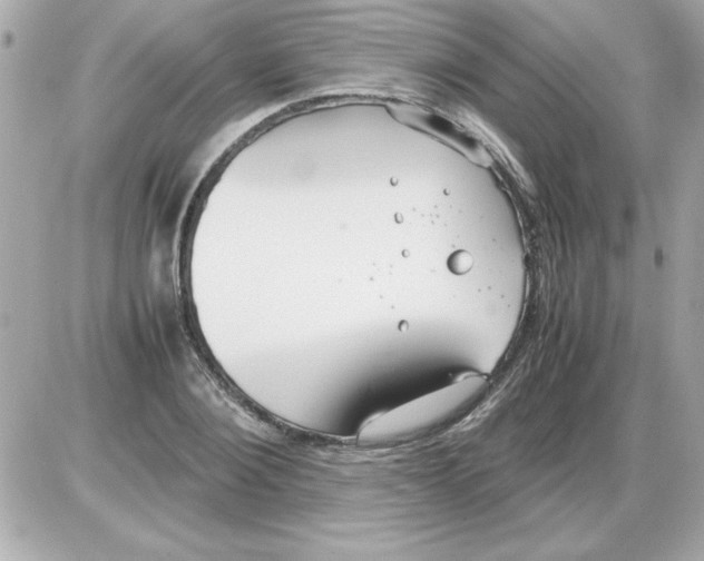 X0000085310884200704092320