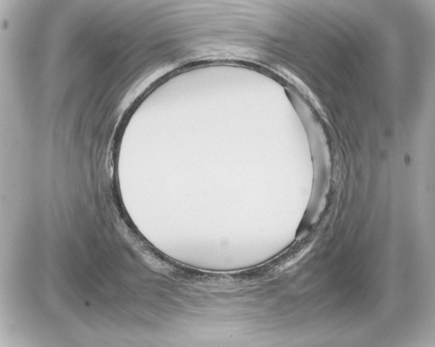 X0000085310885200704092320