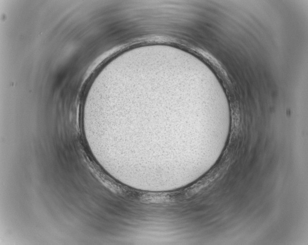 X0000085310886200704092320