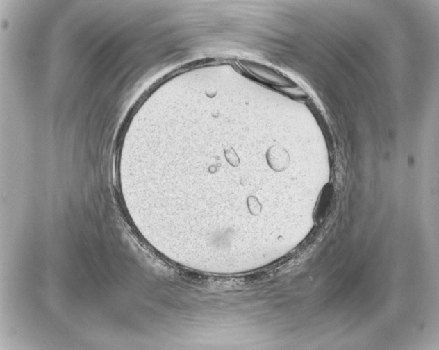 X0000085310887200704092320