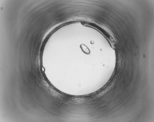 X0000085310888200704092320