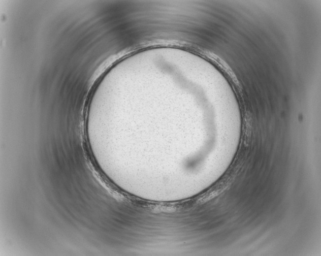 X0000085310890200704092320