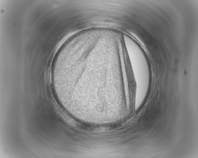 X0000085310891200704092320