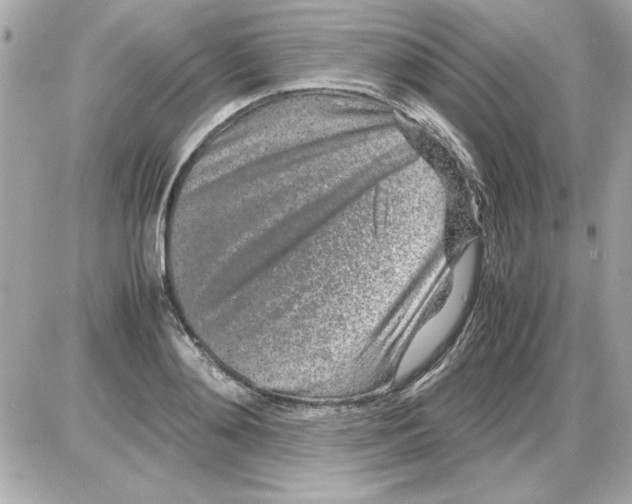 X0000085310892200704092320