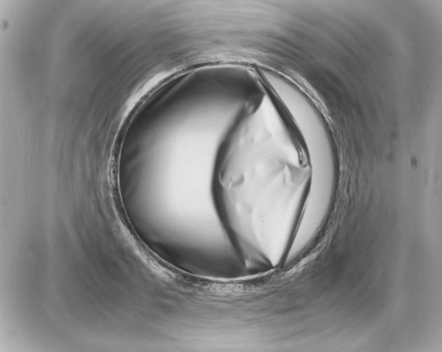 X0000085310893200704092320