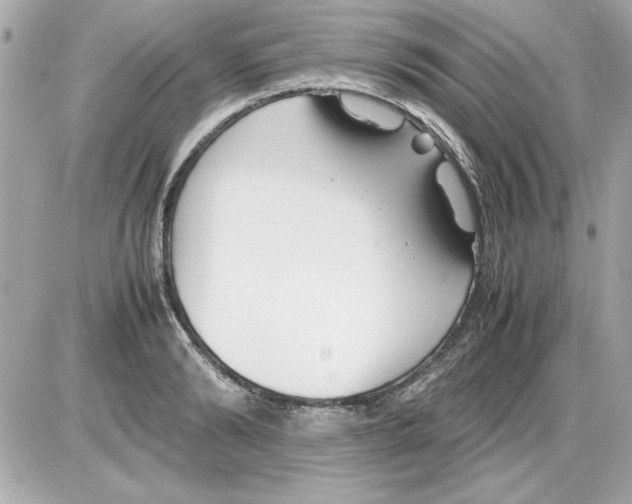 X0000085310894200704092320