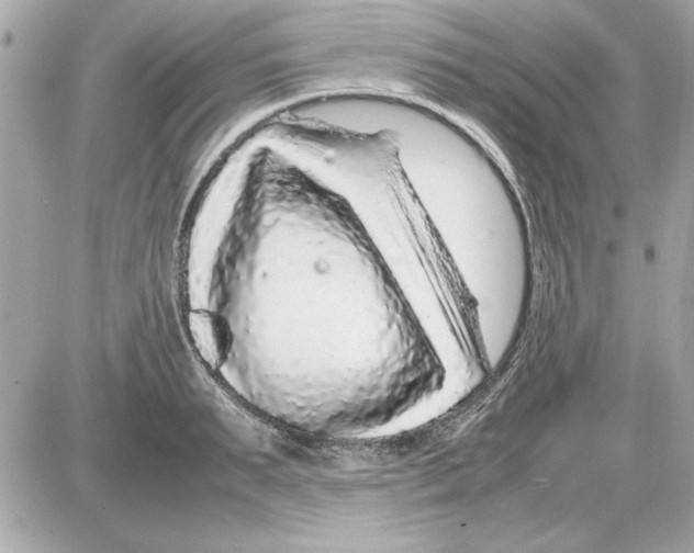 X0000085310895200704092320