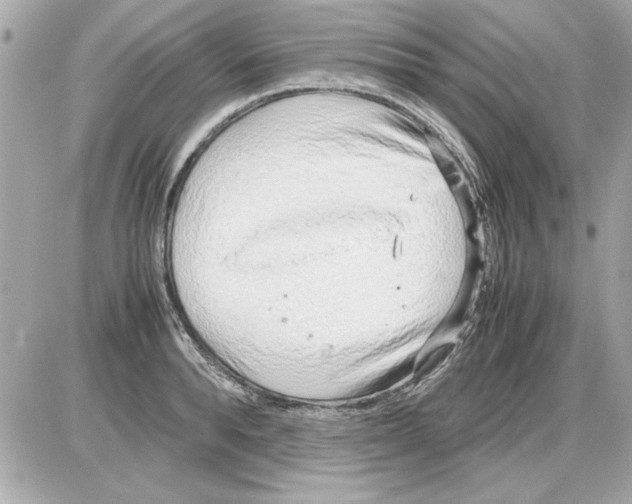 X0000085310896200704092320