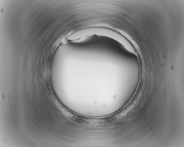 X0000085310897200704092320