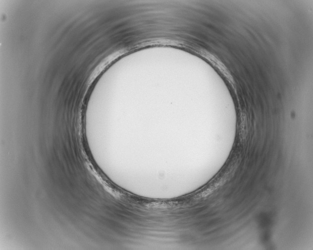 X0000085310898200704092320