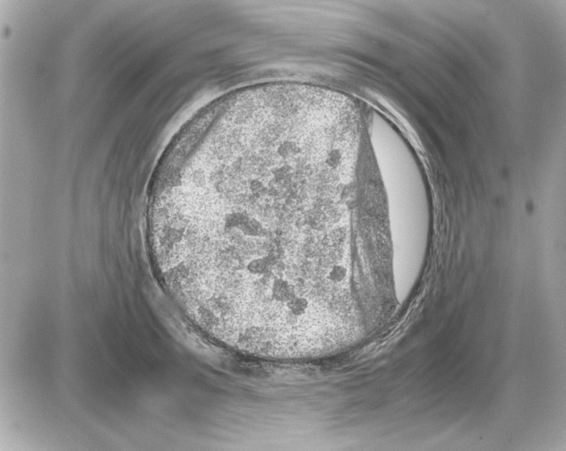 X0000085310899200704092320