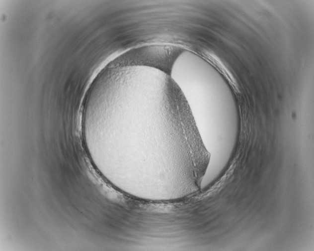 X0000085310900200704092320