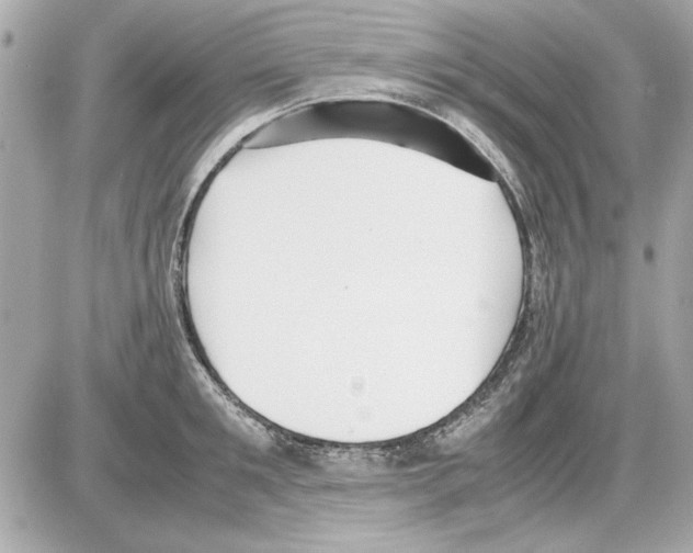 X0000085310901200704092320