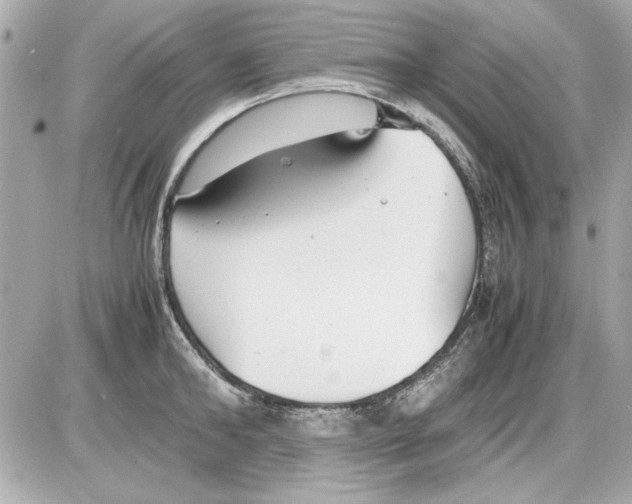 X0000085310902200704092320