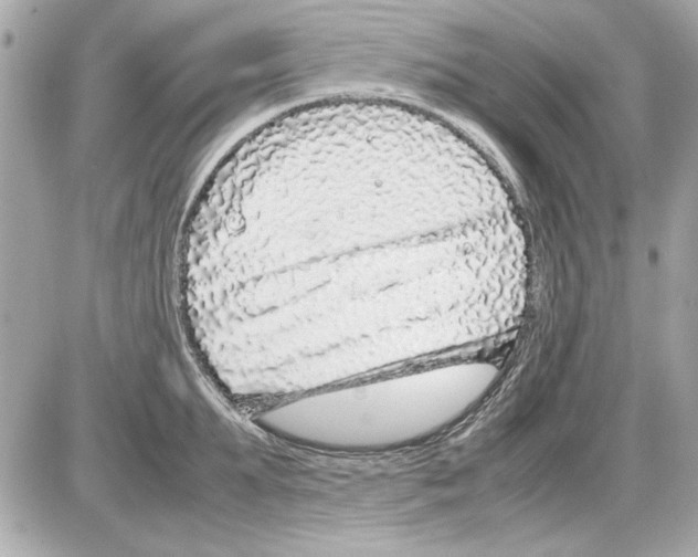 X0000085310903200704092320