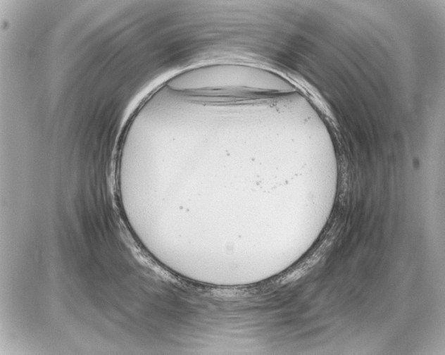 X0000085310904200704092320