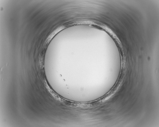 X0000085310905200704092320