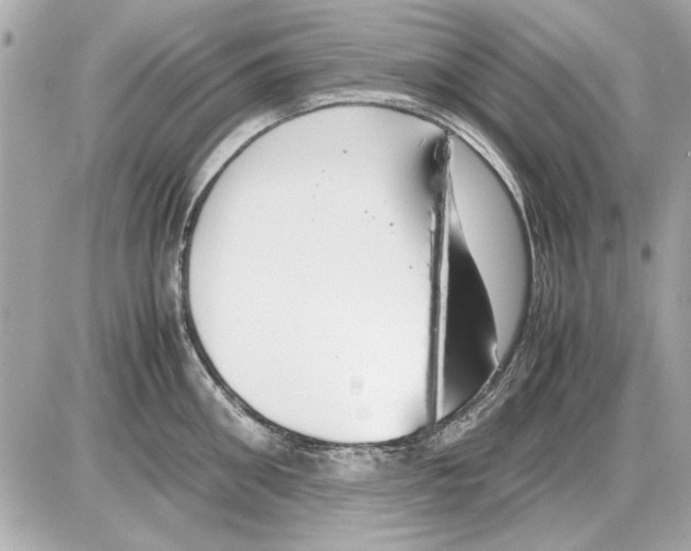 X0000085310906200704092320